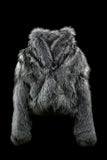 SILVER FOX FUR